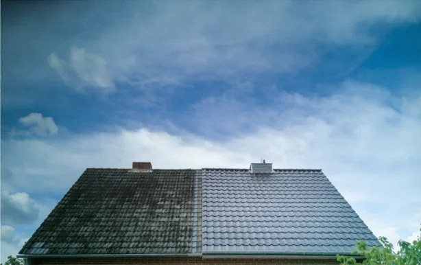 Moss and lichen removal Naples. Moss and Mold with dirty and clean roof before and after.