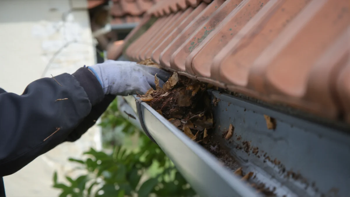 a hand removing debris from roof gutter. Roof debris removal Naples